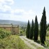 Location Toscane, maison Tofori, allée